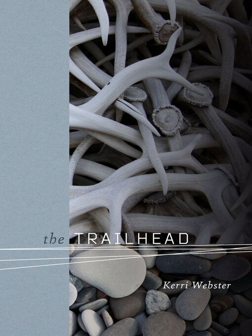 Cover image for The Trailhead